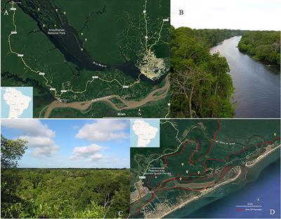 Screening Amazon rainforest plant extracts for antimicrobial activity: a 15-year commitment to the Brazilian biodiversity